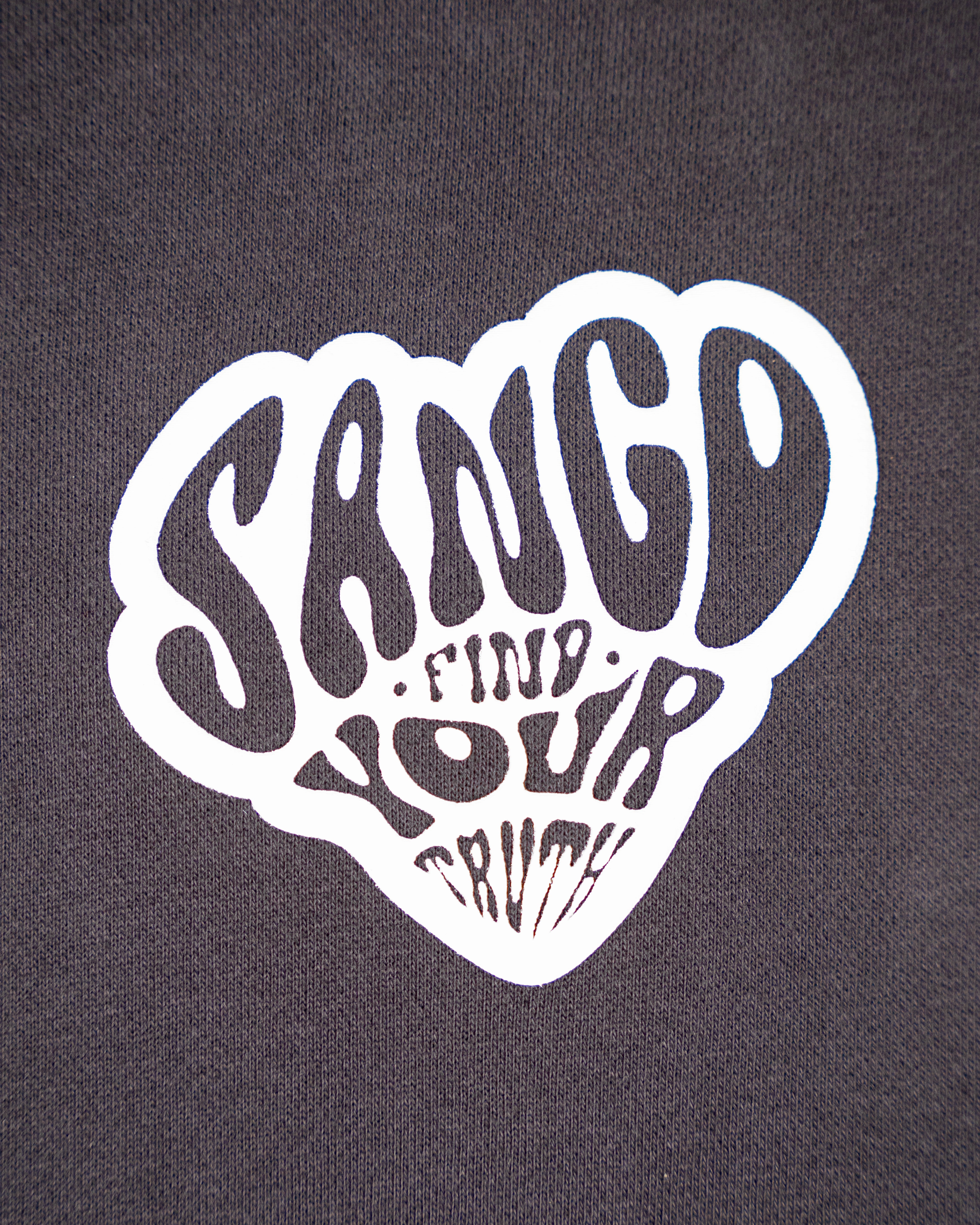 Sango Find Your Truth Hoodie-thumbmail-4